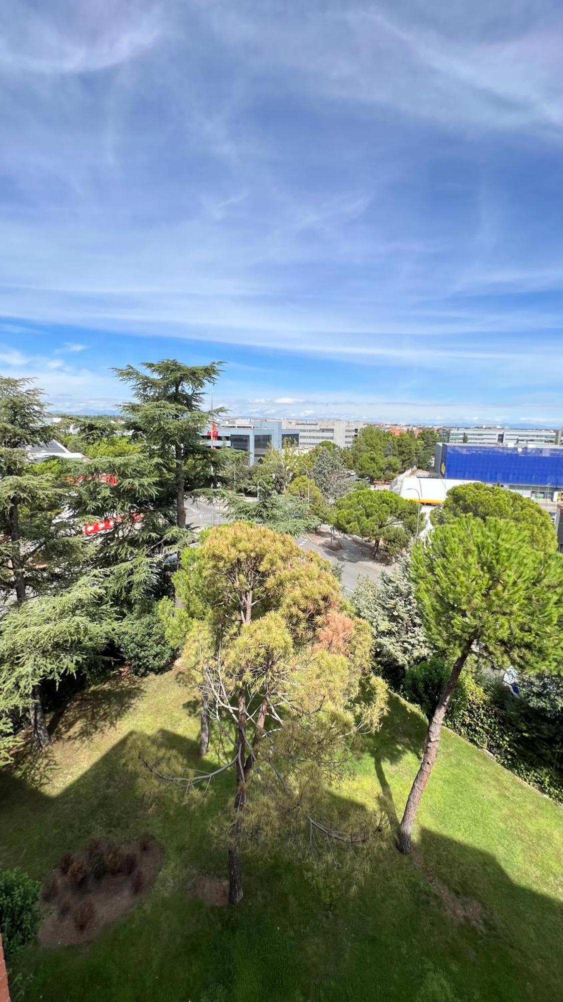 House Samaniego 12 Apartment Madrid Ngoại thất bức ảnh
